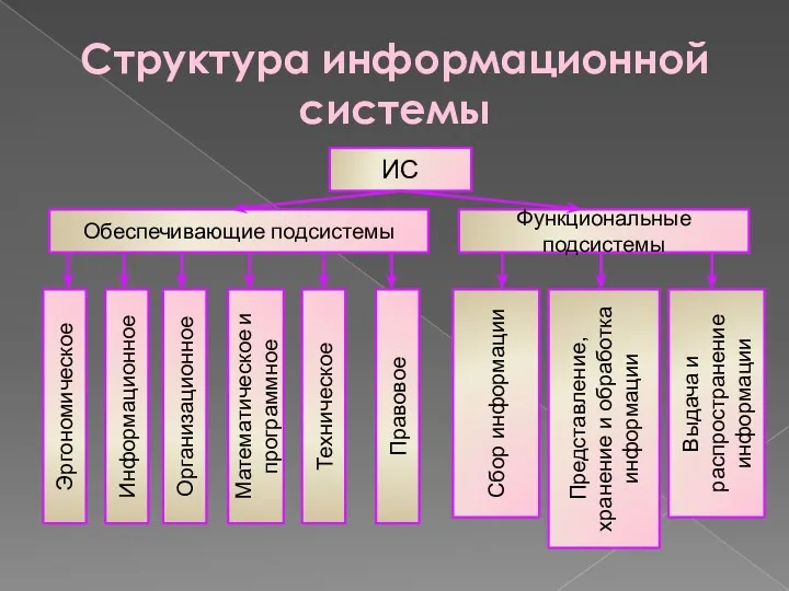 Структура информационной системы