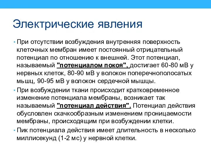 Электрические явления При отсутствии возбуждения внутренняя поверхность клеточных мембран имеет