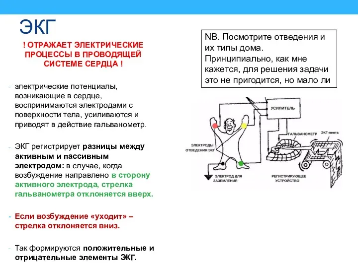 ЭКГ ! ОТРАЖАЕТ ЭЛЕКТРИЧЕСКИЕ ПРОЦЕССЫ В ПРОВОДЯЩЕЙ СИСТЕМЕ СЕРДЦА !