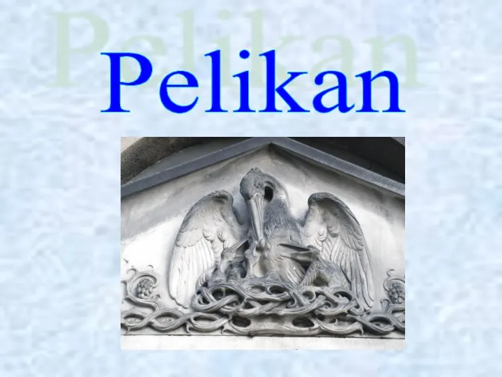 Pelikan