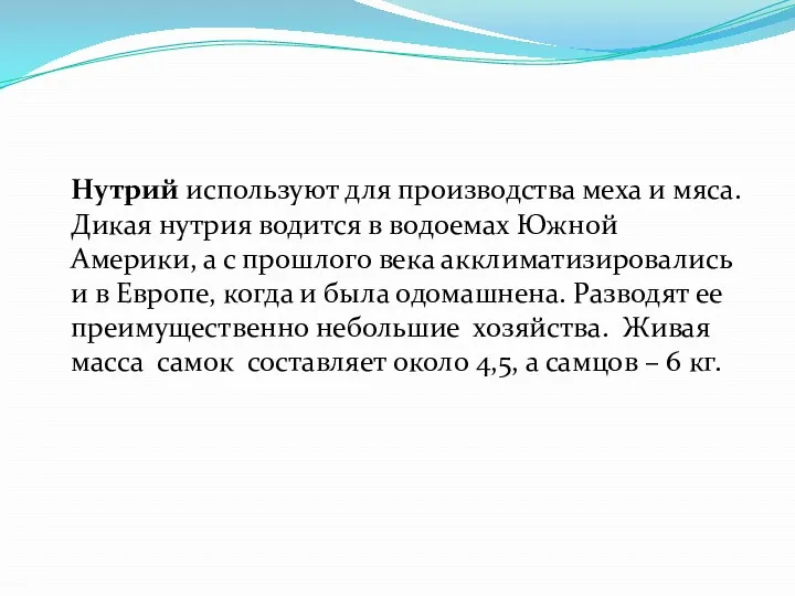 Нутрий используют для производства меха и мяса. Дикая нутрия водится в водоемах Южной