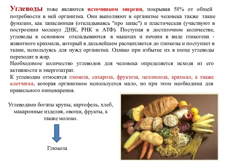 Углеводы тоже являются источником энергии, покрывая 58% от общей потребности