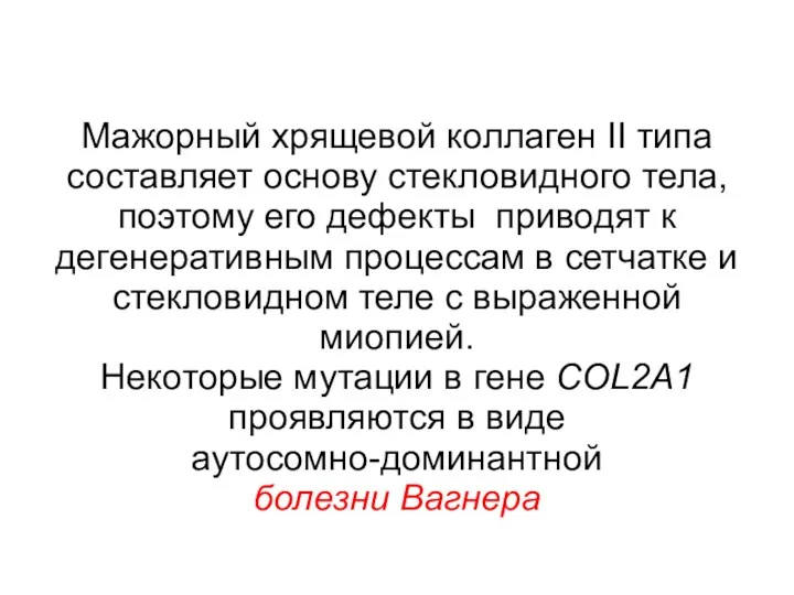 Мажорный хрящевой коллаген II типа составляет основу стекловидного тела, поэтому