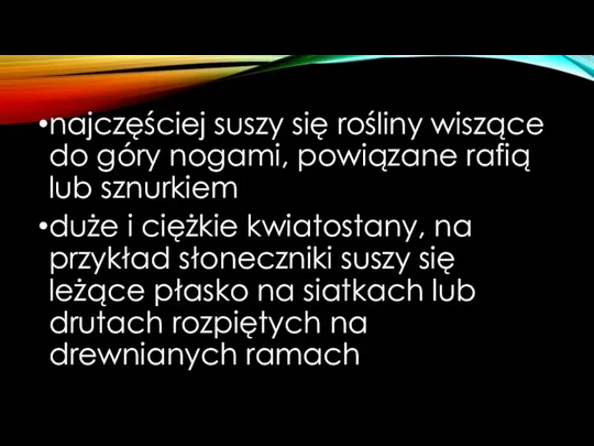 najczęściej suszy się rośliny wiszące do góry nogami, powiązane rafią