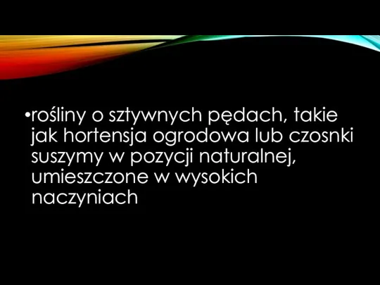 rośliny o sztywnych pędach, takie jak hortensja ogrodowa lub czosnki