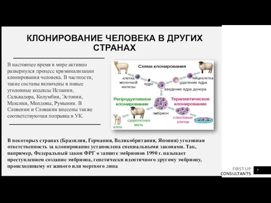 КЛОНИРОВАНИЕ ЧЕЛОВЕКА В ДРУГИХ СТРАНАХ В настоящее время в мире