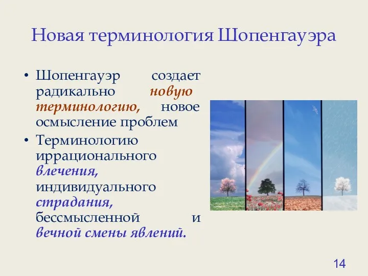 Новая терминология Шопенгауэра Шопенгауэр создает радикально новую терминологию, новое осмысление