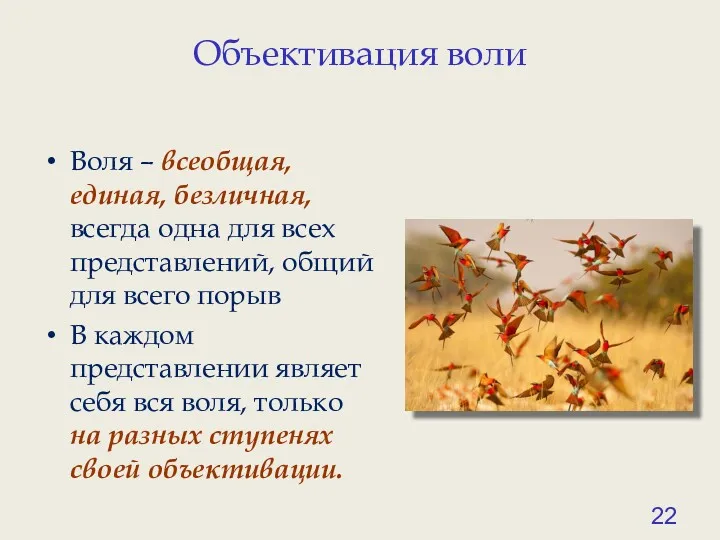 Объективация воли Воля – всеобщая, единая, безличная, всегда одна для всех представлений, общий