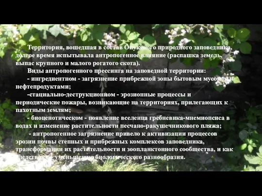 Территория, вошедшая в состав Опукского природного заповедника, долгое время испытывала