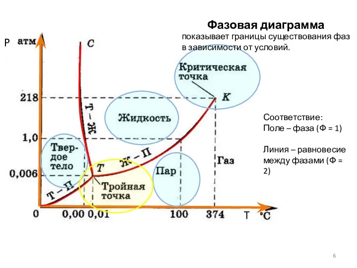 Фазовая диаграмма воды P T показывает границы существования фаз в