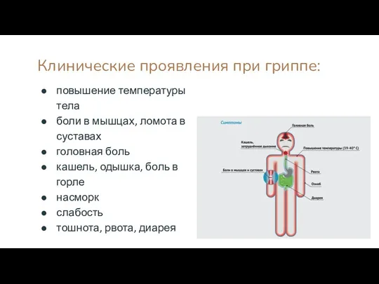 Клинические проявления при гриппе: повышение температуры тела боли в мышцах,