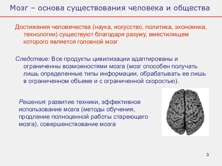 Мозг – основа существования человека и общества Достижения человечества (наука,