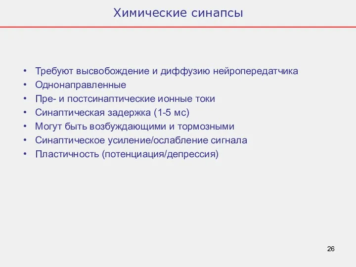 Химические синапсы Требуют высвобождение и диффузию нейропередатчика Однонаправленные Пре- и