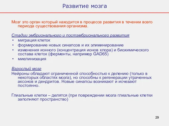 Развитие мозга Мозг это орган который находится в процессе развития