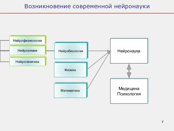 Возникновение современной нейронауки Физика Математика Медицина Психология