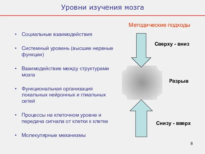 Уровни изучения мозга Социальные взаимодействия Системный уровень (высшие нервные функции)