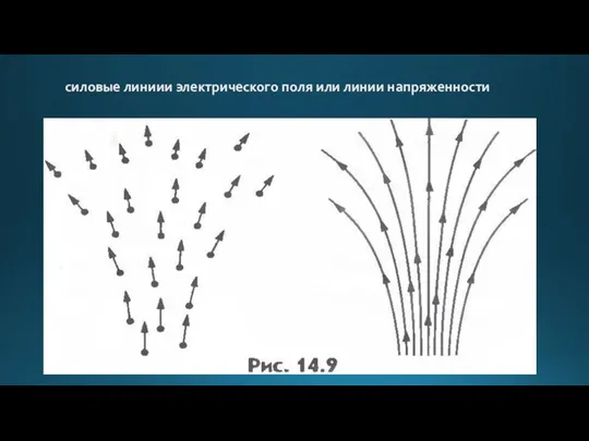 силовые линиии электрического поля или линии напряженности