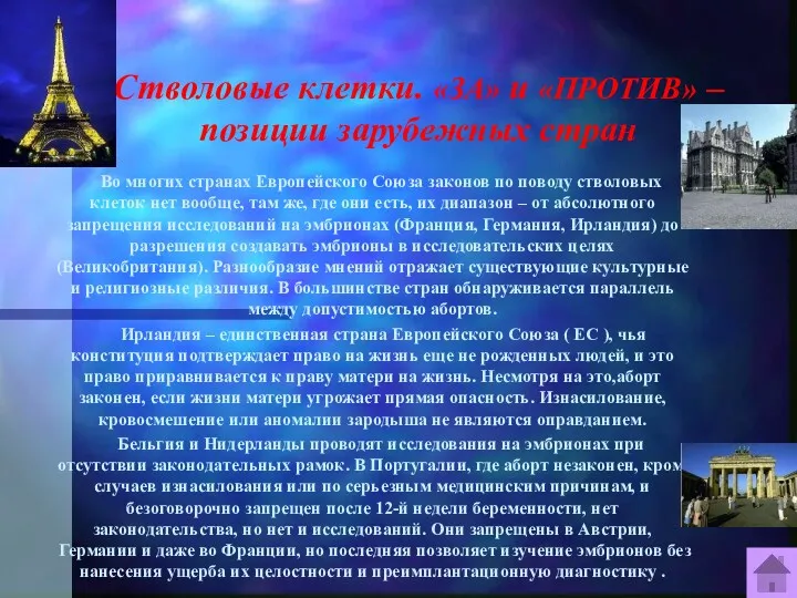 Стволовые клетки. «ЗА» и «ПРОТИВ» – позиции зарубежных стран Во