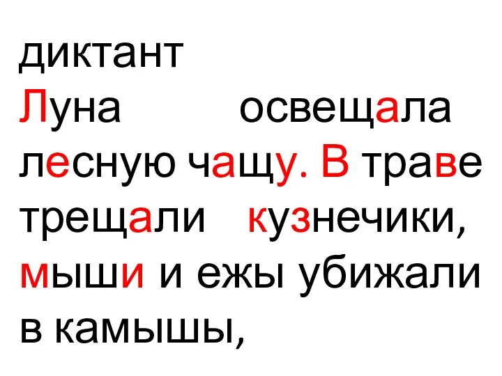 диктант Луна освещала лесную чащу. В траве трещали кузнечики, мыши и ежы убижали в камышы,