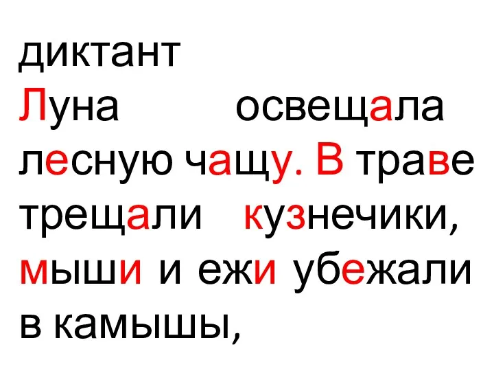 диктант Луна освещала лесную чащу. В траве трещали кузнечики, мыши и ежи убежали в камышы,