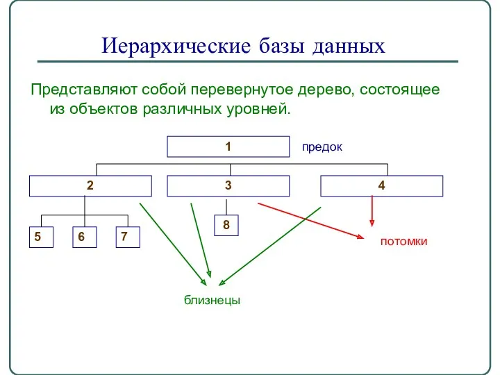 Иерархические базы данных Представляют собой перевернутое дерево, состоящее из объектов