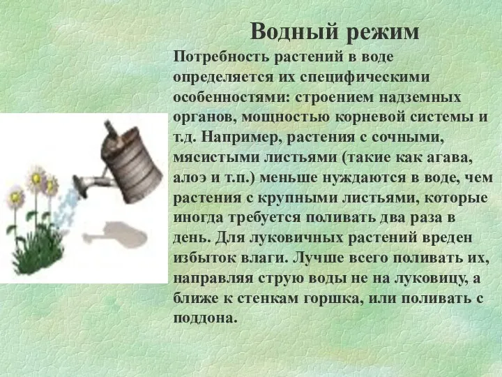 Водный режим Потребность растений в воде определяется их специфическими особенностями: