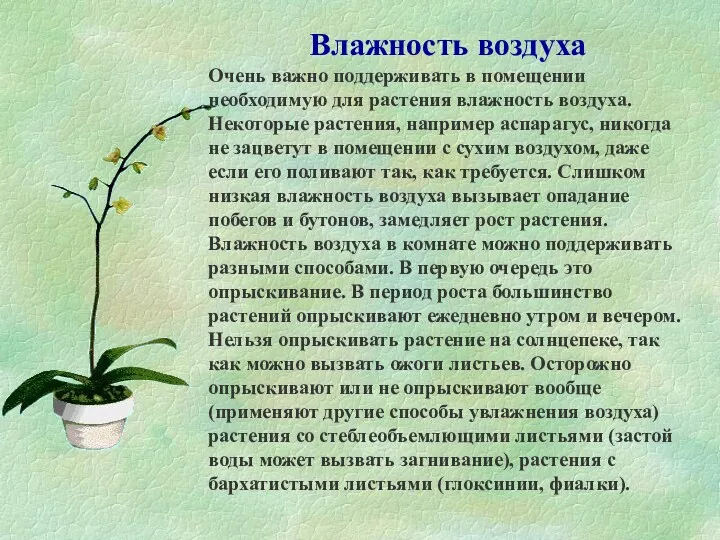 Влажность воздуха Очень важно поддерживать в помещении необходимую для растения