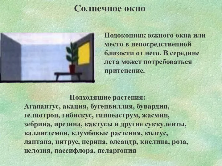 Солнечное окно Подоконник южного окна или место в непосредственной близости от него. В