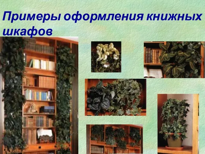 Примеры оформления книжных шкафов