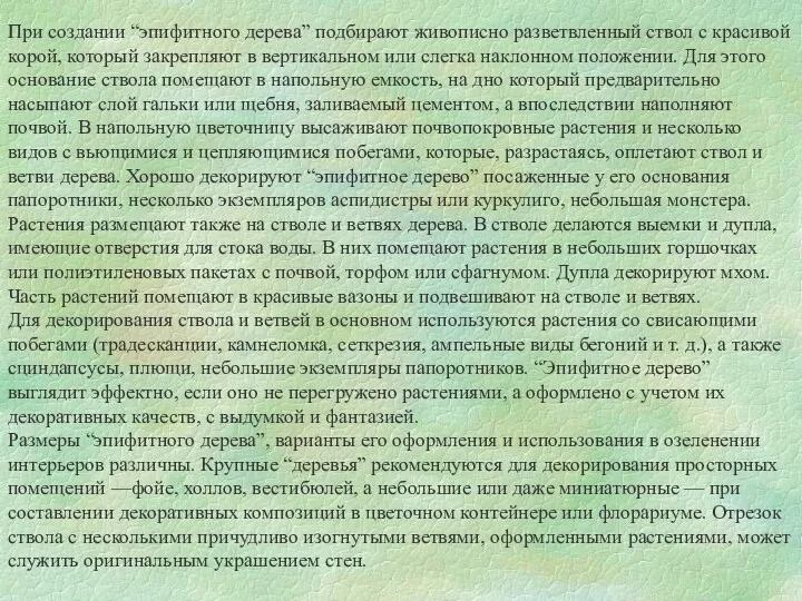 При создании “эпифитного дерева” подбирают живописно разветвленный ствол с красивой корой, который закрепляют