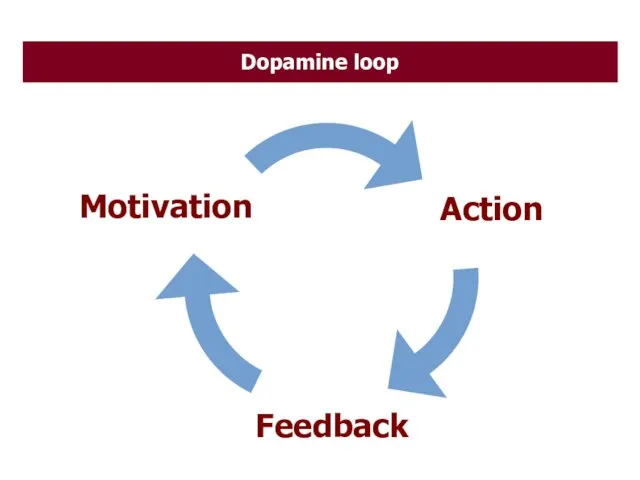 Motivation Action Feedback Dopamine loop