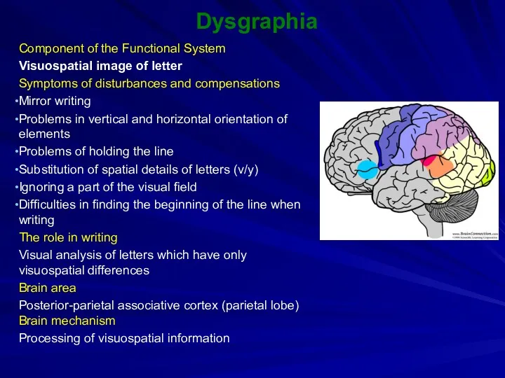 Dysgraphia Component of the Functional System Visuospatial image of letter Symptoms of disturbances