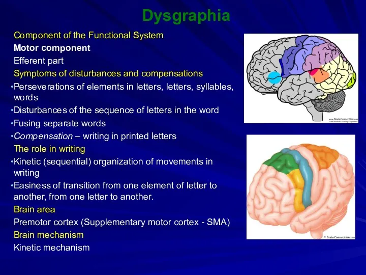Dysgraphia Component of the Functional System Motor component Efferent part Symptoms of disturbances