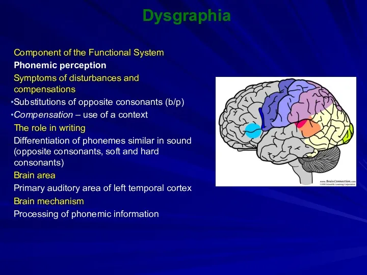 Dysgraphia Component of the Functional System Phonemic perception Symptoms of disturbances and compensations