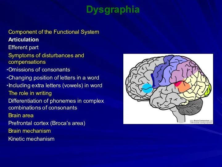 Dysgraphia Component of the Functional System Articulation Efferent part Symptoms of disturbances and