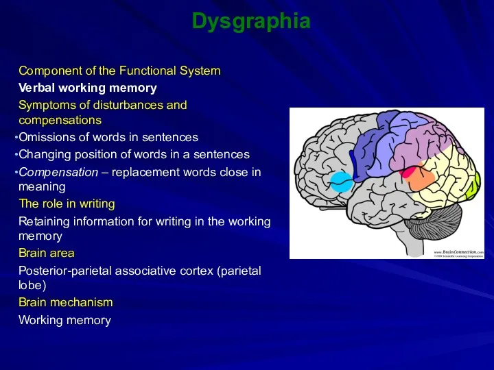 Dysgraphia Component of the Functional System Verbal working memory Symptoms of disturbances and