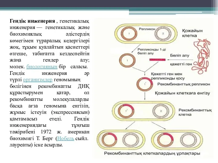 Гендік инженерия , генетикалық инженерия — генетикалық және биохимиялық әдістердің