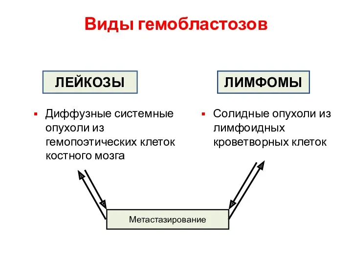 Диффузные системные опухоли из гемопоэтических клеток костного мозга Солидные опухоли