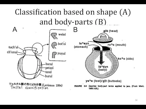 Classification based on shape (A) and body-parts (B) A B