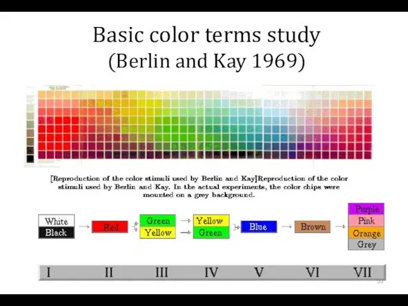 Basic color terms study (Berlin and Kay 1969)