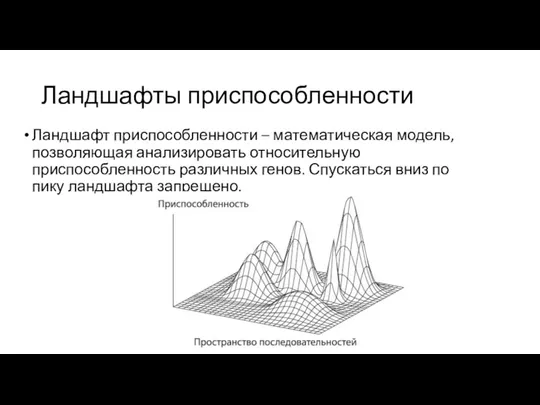 Ландшафты приспособленности Ландшафт приспособленности – математическая модель, позволяющая анализировать относительную