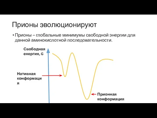 Прионы эволюционируют Прионы – глобальные минимумы свободной энергии для данной аминокислотной последовательности.