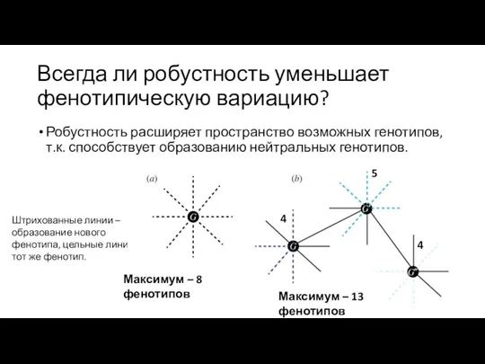 Всегда ли робустность уменьшает фенотипическую вариацию? Робустность расширяет пространство возможных