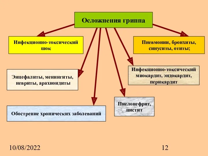 10/08/2022 Осложнения гриппа Инфекционно-токсический шок Пневмонии, бронхиты, синуситы, отиты; Энцефалиты,