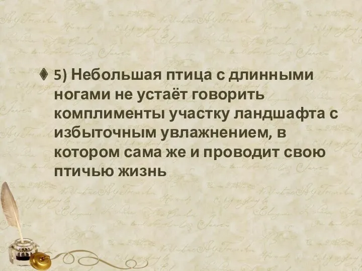 5) Небольшая птица с длинными ногами не устаёт говорить комплименты