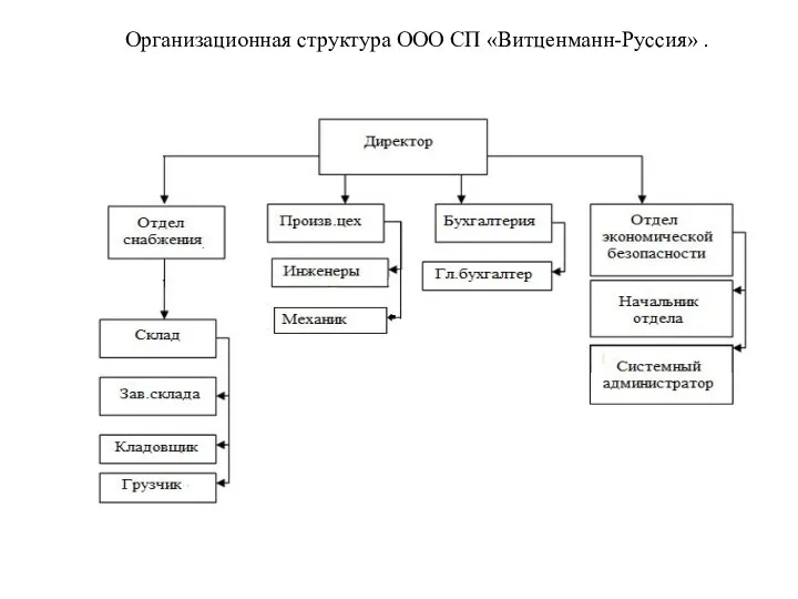 Организационная структура ООО СП «Витценманн-Руссия» .