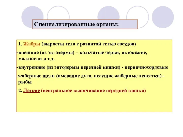 1. Жабры (выросты тела с развитой сетью сосудов) внешние (из