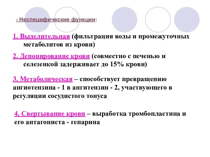 - Неспецифические функции: 1. Выделительная (фильтрация воды и промежуточных метаболитов