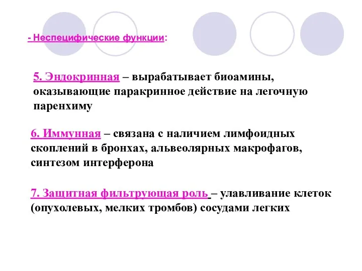 5. Эндокринная – вырабатывает биоамины, оказывающие паракринное действие на легочную