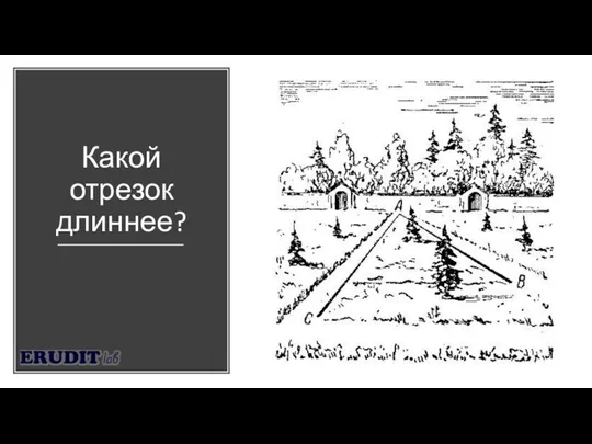 Какой отрезок длиннее?